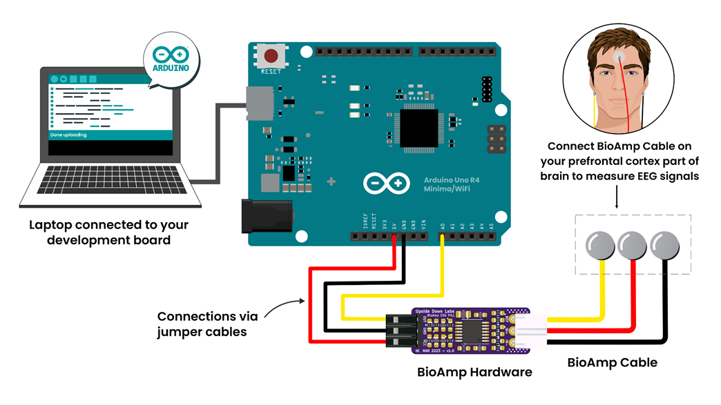 Penempatan antara F1 dan F2