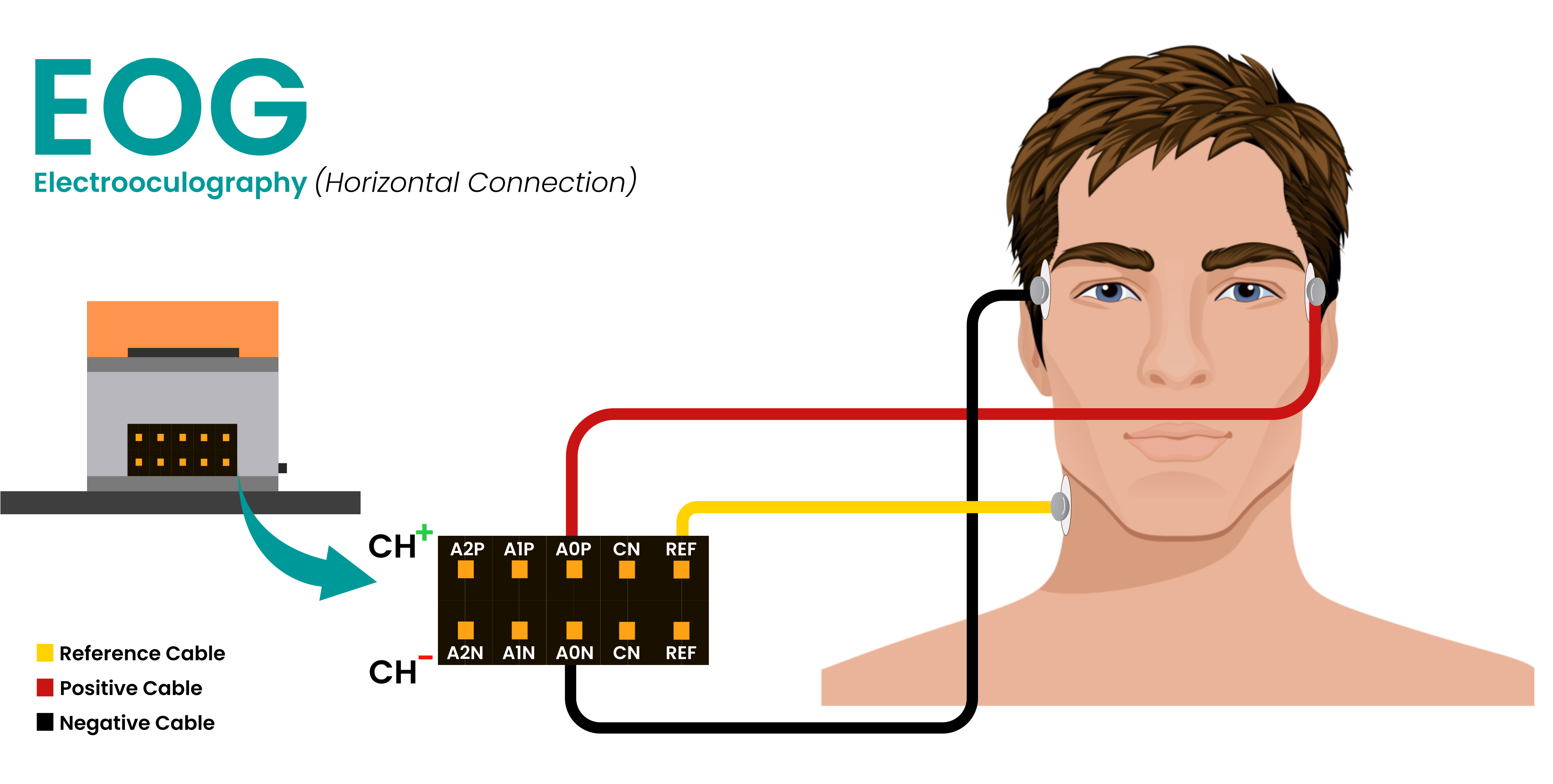 Connection for EOG Horizontal