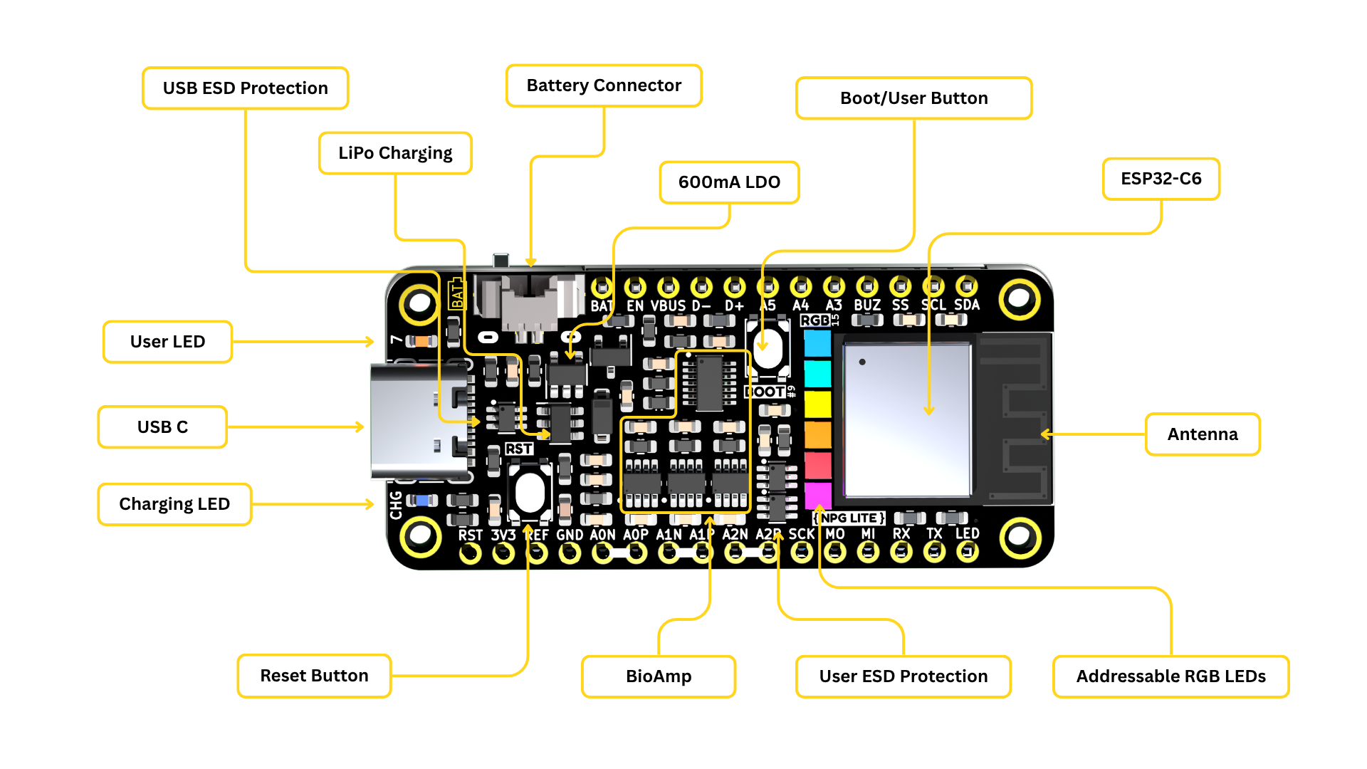 Anotasi Neuro PlayGround (NPG) Lite