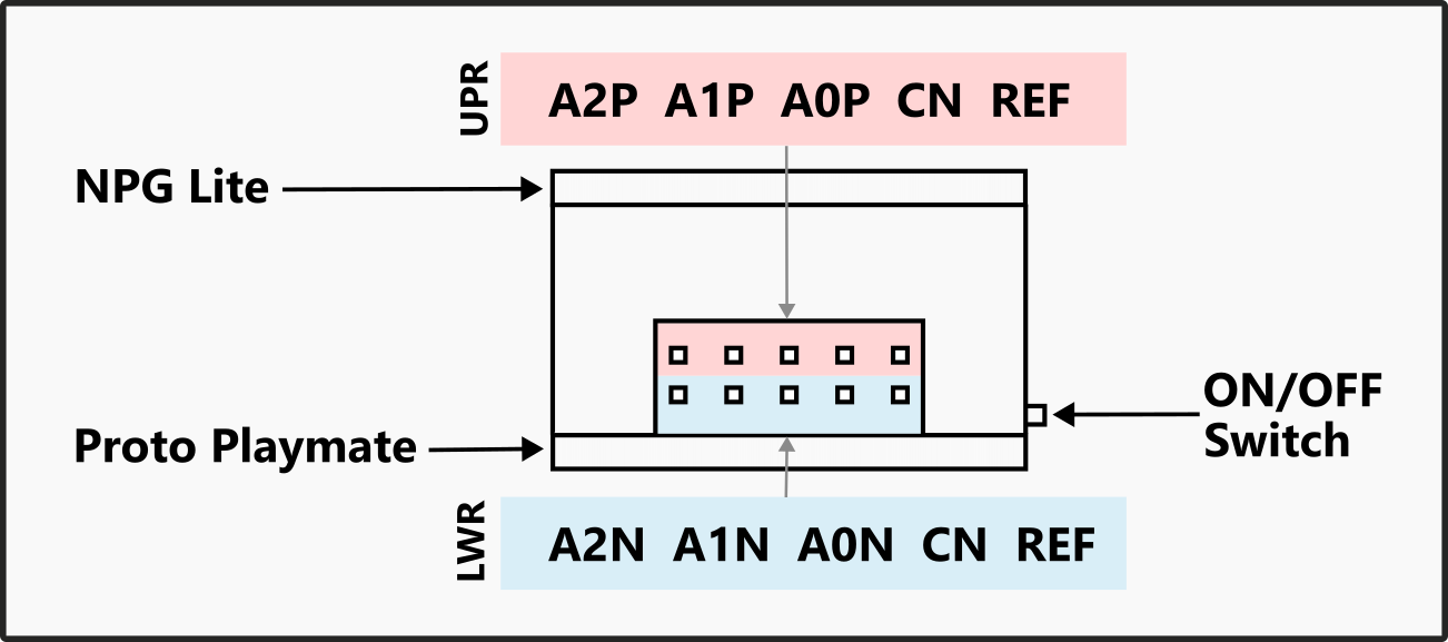 NPG Lite Proto Playmate Connection