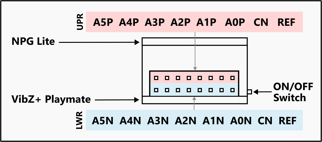 NPG Lite VibZ+ Playmate Connection